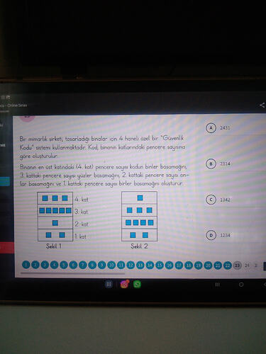 17638913268623240248775403717021