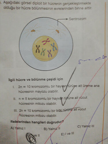 17651271427921725938623377469581