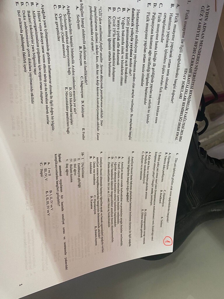 Uning kokraklarini sorish - bu zavqli fotosurat Uning kokraklarini sorish - bu zavqli fotosurat