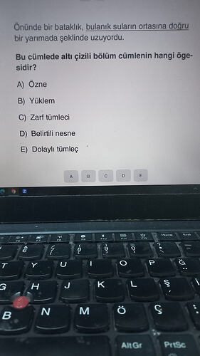 17711790755356495620612779884957