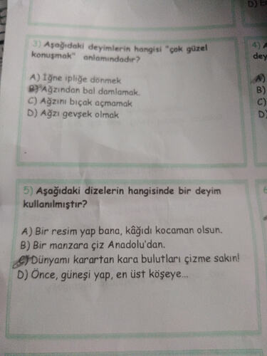 17645953235615146605783796401906