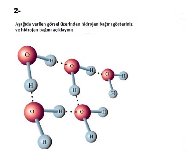 Screenshot_20250526_091954