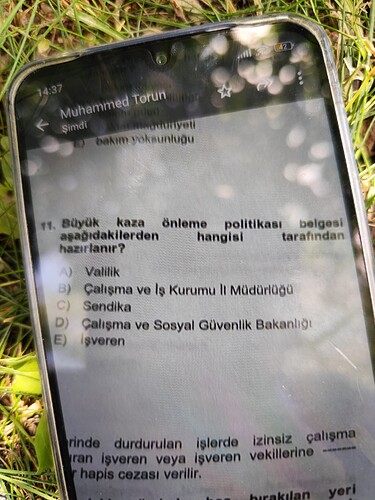 17553442404343743477528617619379