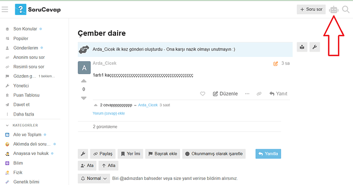 SoruCevap platformunda bir kullanıcıdan gelen "Çember daire" başlıklı gönderinin görüntüsü. (AI tarafından altyazılı)