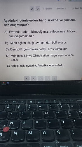 17711787104516262325169810133903