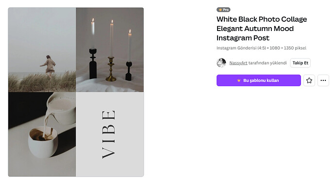 Bu görüntü, "VIBE" yazılı bir çerçeve içinde doğa, mumlar ve içeceklerin yer aldığı şık bir fotoğraf kolajını gösteriyor. (AI tarafından altyazılı)