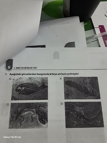 17633939351613839791061071653043