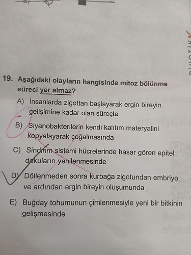 17603424361874795289567606740268