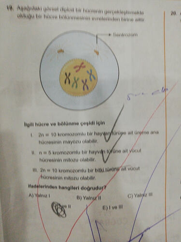 17651270854127277470736223638685