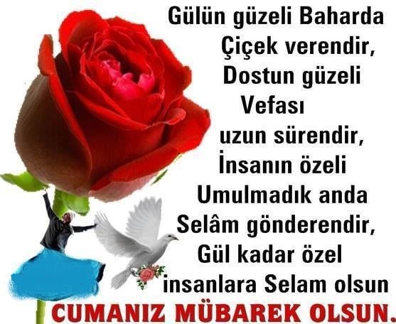 gül kadar özel olan insanlara selam olsun - hayırlı cumalar